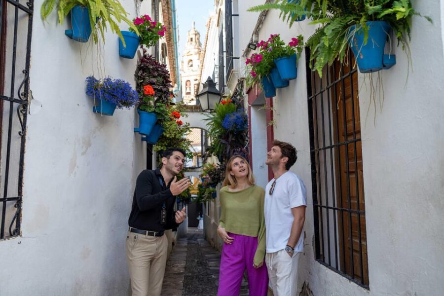 From Madrid: Córdoba Private Day Tour by High-Speed Train - A 12-hour sprint from Madrid to Córdoba