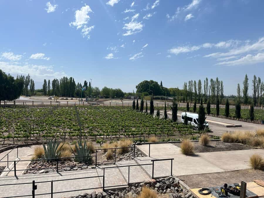 From Mendoza: 3 Wineries, Olive Oil Factory Tour & Tasting - A 2 p.m. Mendoza Wine Run That Keeps It Practical