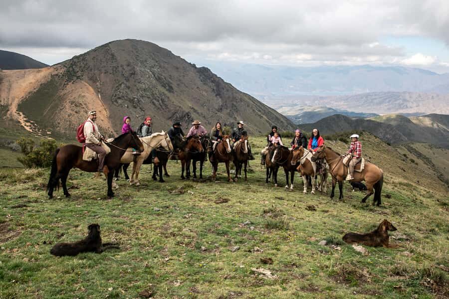 From Mendoza: Full Day Gaucho Experience - Should you book the Mendoza full-day gaucho experience?