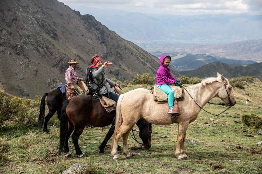 From Mendoza: Full Day Gaucho Experience - The horseback ride in the Andes: views, elevation, and animal sightings