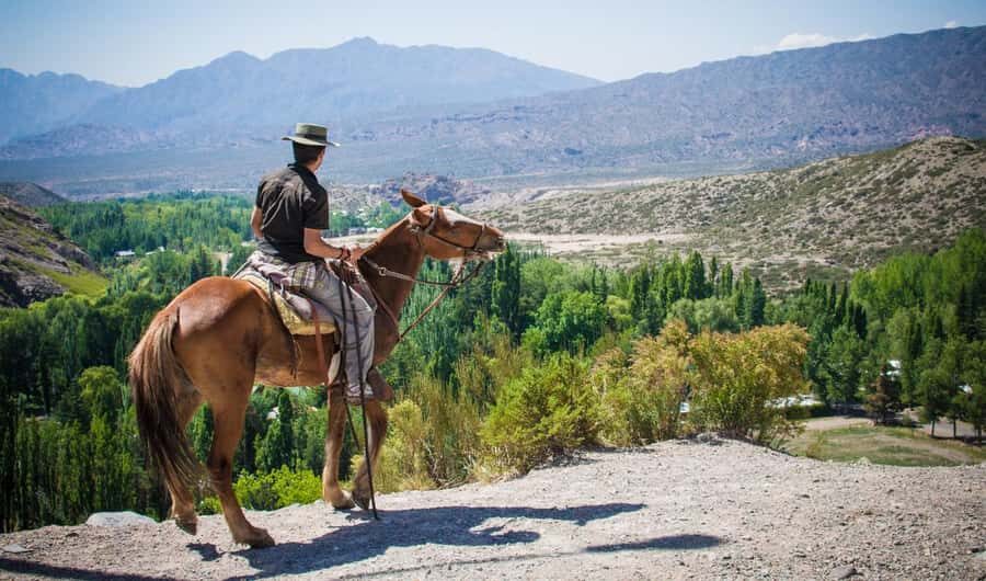 From Mendoza: Sunset Horseback Ride and Asado in the Andes - Key Highlights You’ll Feel Right Away