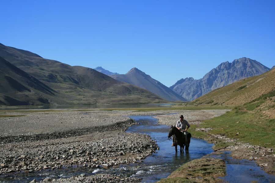 From Mendoza: Sunset Horseback Ride and Asado in the Andes - The Horses: Why This Ride Feels Approachable
