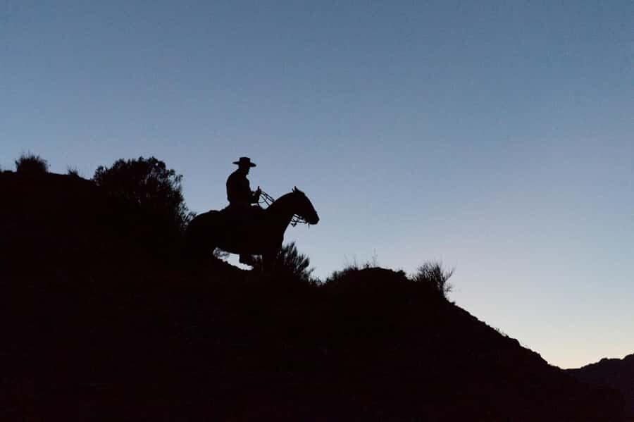 From Mendoza: Sunset Horseback Ride and Asado in the Andes - Practical Tips Before You Go