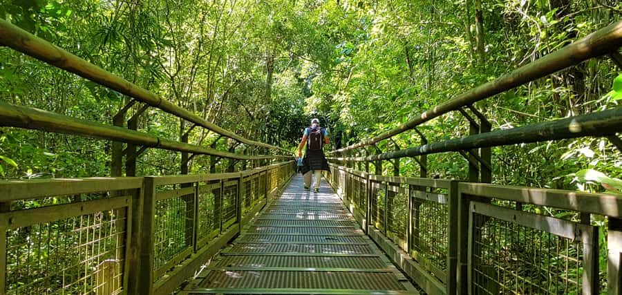 From Puerto Iguazu: Argentinian Iguazu Falls with Boat Ride - Who this tour fits best, and who should skip it