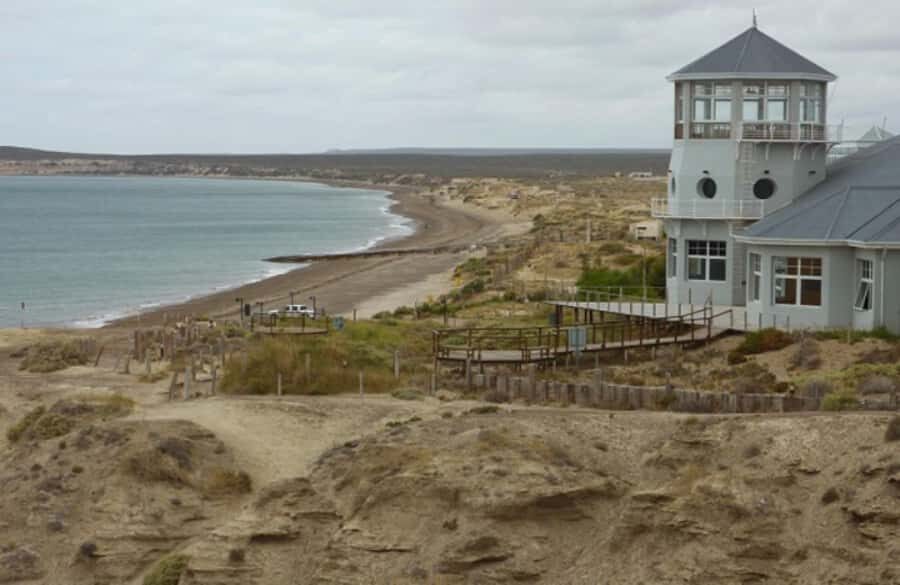 From Puerto Madryn: City and Punta Loma Tour - The Puerto Madryn-Sea Lions combo that makes sense