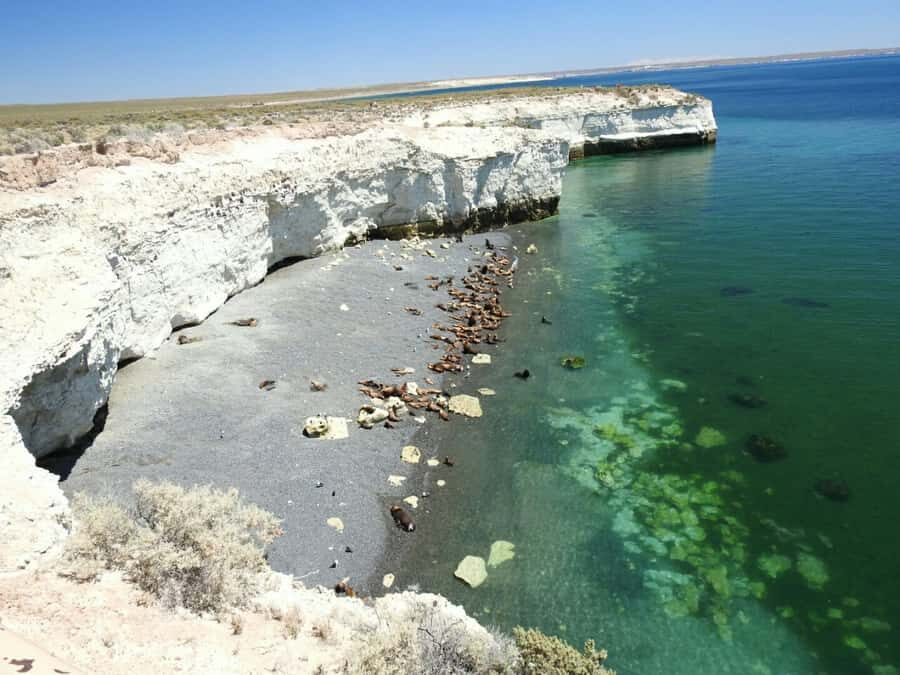 From Puerto Madryn: City and Punta Loma Tour - The guide makes it better than a drive-by