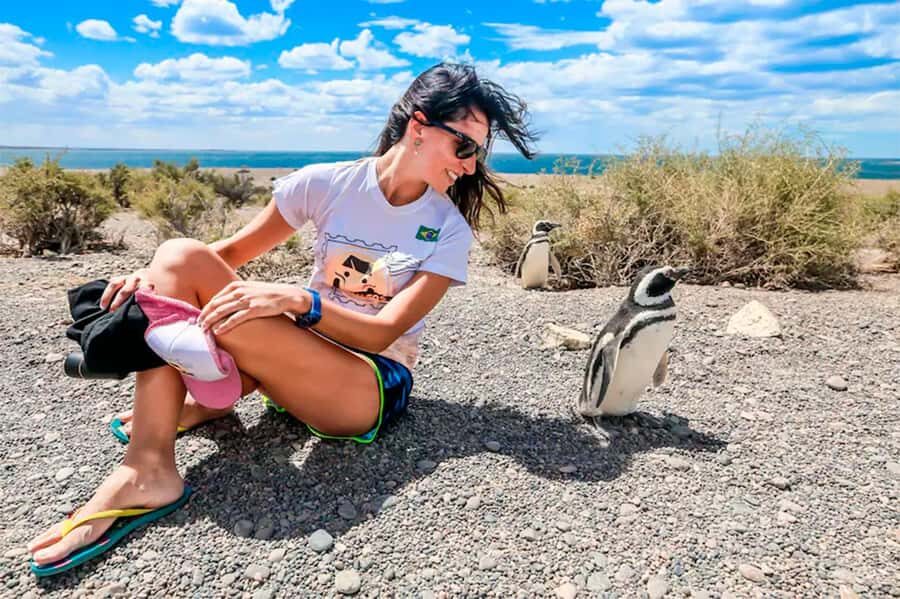 From Puerto Madryn: Full Day Excursion to Punta Tombo - Key points before you go
