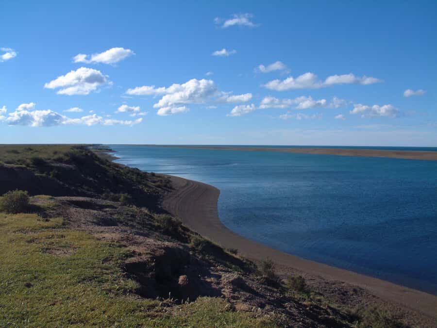 From Puerto Madryn: Full-Day Valdes Peninsula Tour - Price and value: is $150 worth it for a full-day wildlife circuit?