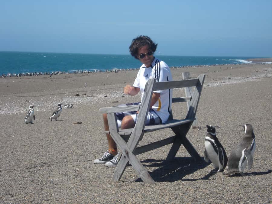 From Puerto Madryn: Penguin Tour & Península Valdés Day Trip - Key reasons this day trip works so well