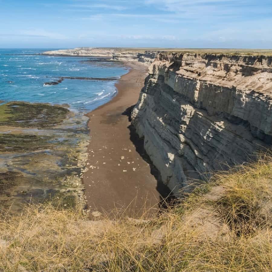 From Puerto Madryn: Peninsula Valdés Shore Excursion - Caleta Valdés and Punta Cantor: your first big animal chances