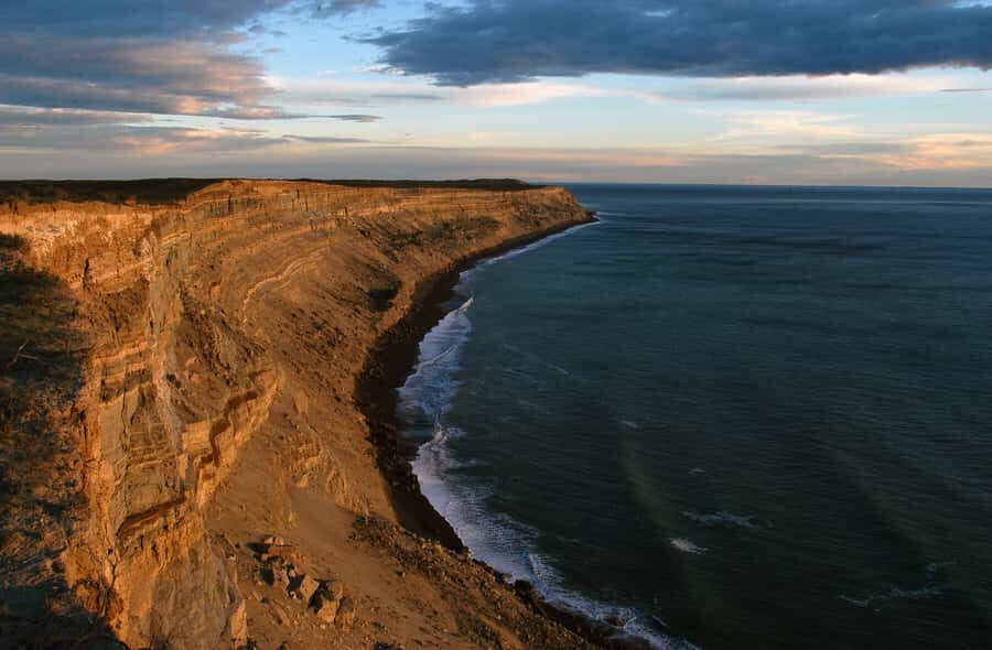 From Puerto Madryn: Valdes Peninsula Full-Day Tour - Key highlights to know before you go