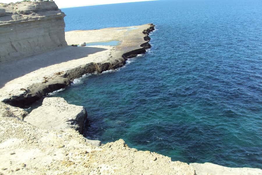 From Puerto Madryn: Valdes Peninsula Full-Day Tour - Valdes Peninsula from Puerto Madryn: why this tour is worth your day