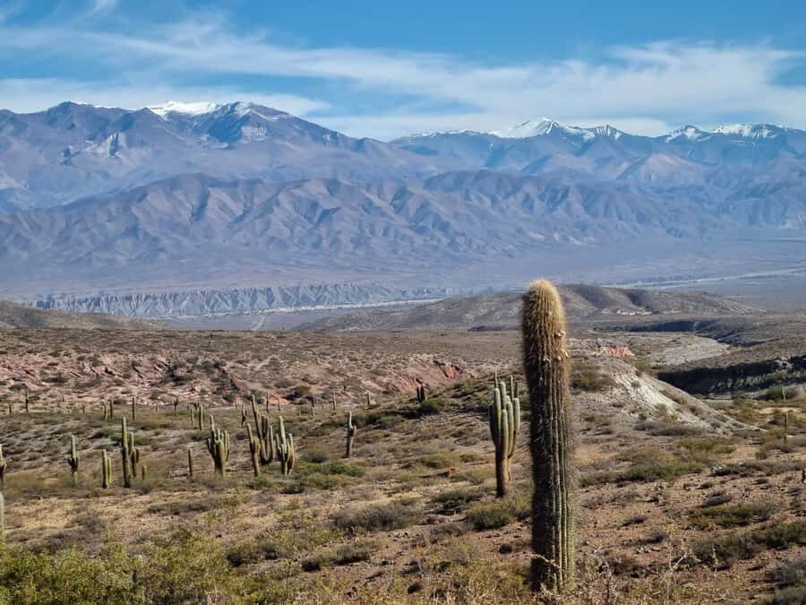 From Salta: 2-Day Guided Trip to Cafayate and Cachi - Key highlights worth knowing