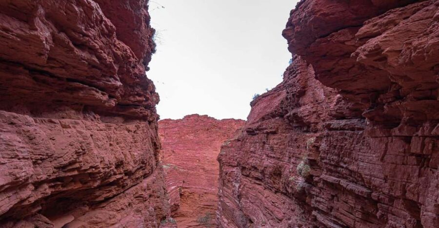 From Salta: 2 Day Guided Trip to Cafayate & Salinas Grandes - Where Pickup and Drop-Off Actually Works (Plaza 9 Julio Zone)