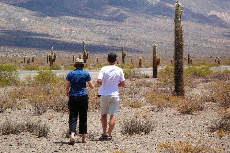 From Salta: 3-Day Cafayate, Cachi, and Humahuaca Guided Trip - Cacti, dirt roads, and comfort: what to plan for