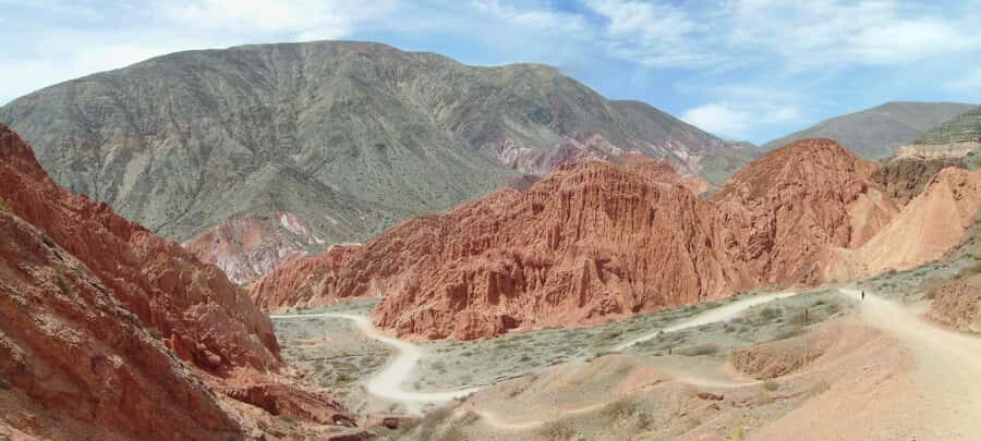 From Salta: Cachi and Salinas Grandes 2-Day Guided Trip - Los Cardones National Park: seeing the cactus country for real