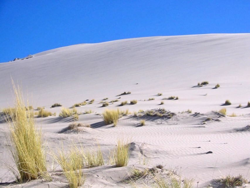 From Salta: Cafayate and Hornocal 2-Day Tour with Transfer - FAQ