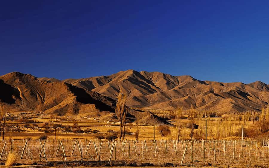 From Salta: Cafayate, Cachi and Salinas Grandes in 3 days - Price and value: is $96 for 3 days a good deal?