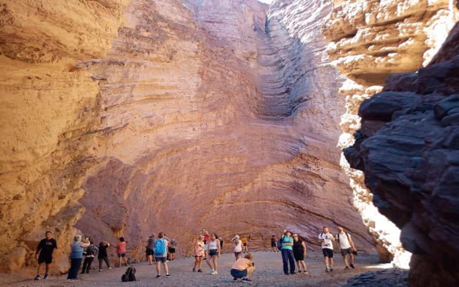 From Salta: Cafayate, Humahuaca, Cachi, & Salinas Grandes - Cachi and Los Cardones National Park: cactus giants plus canyon drives