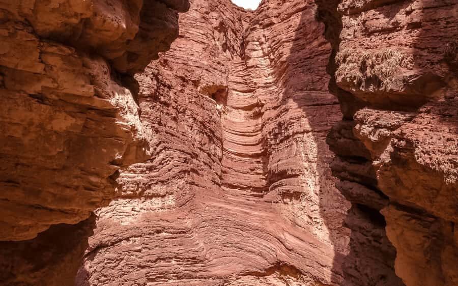 From Salta: Cafayate, Humahuaca, Cachi, & Salinas Grandes - Cafayate and the Wine Route: wineries, Las Conchas Gorge, and Devil’s Throat