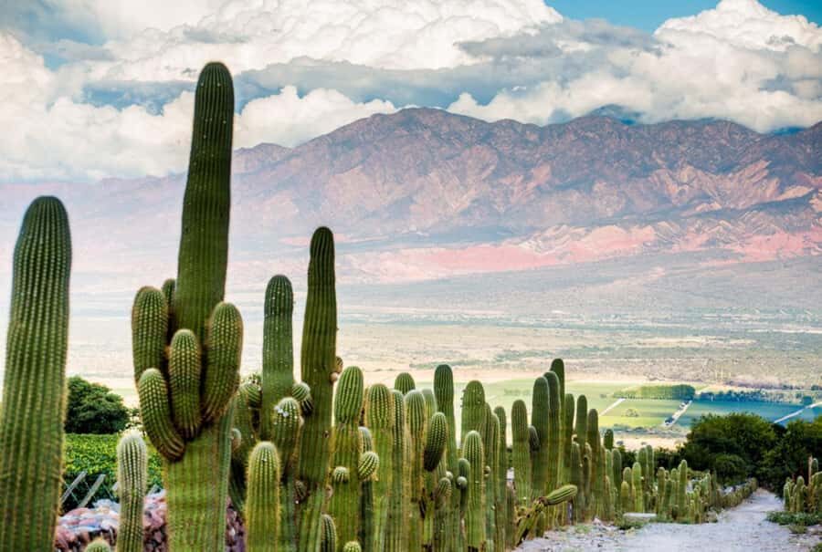 From Salta: Day Trip to Cafayate - The return drive: same road, totally different canyon mood