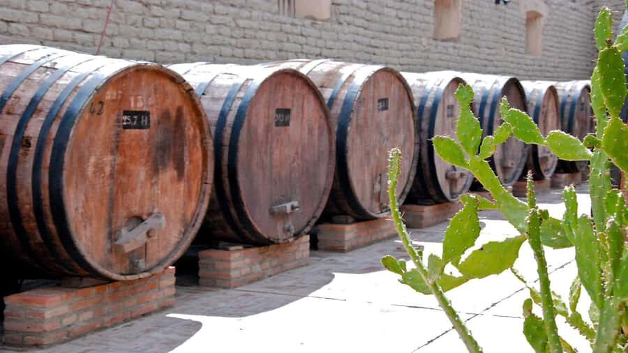 From Salta: Day Trip to Cafayate - Comfort, timing, and practical tips that keep the day smooth