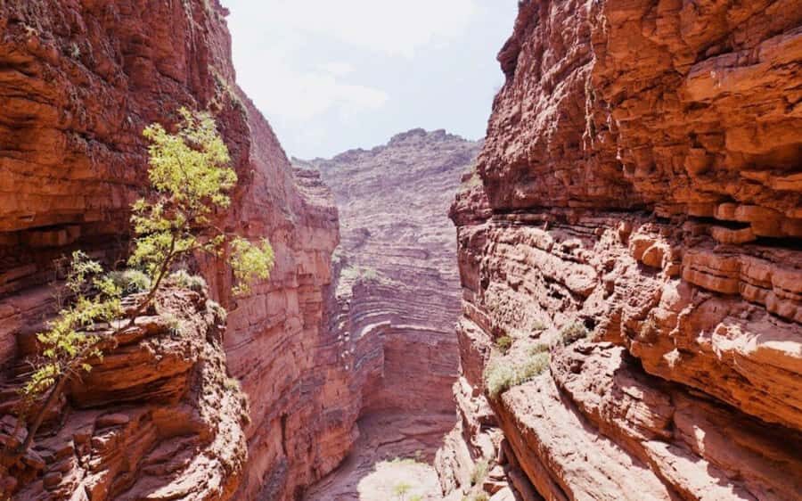 From Salta: Full-day excursions through Cafayate and Cachi - Price and value: does $56 really make sense?