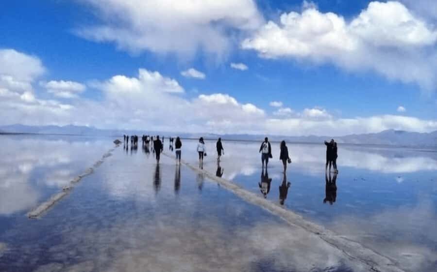 From Salta: Full-Day Tours of Cachi and Salinas Grandes - Why Cachi, Salinas Grandes, and Los Cardones feel like one big ride