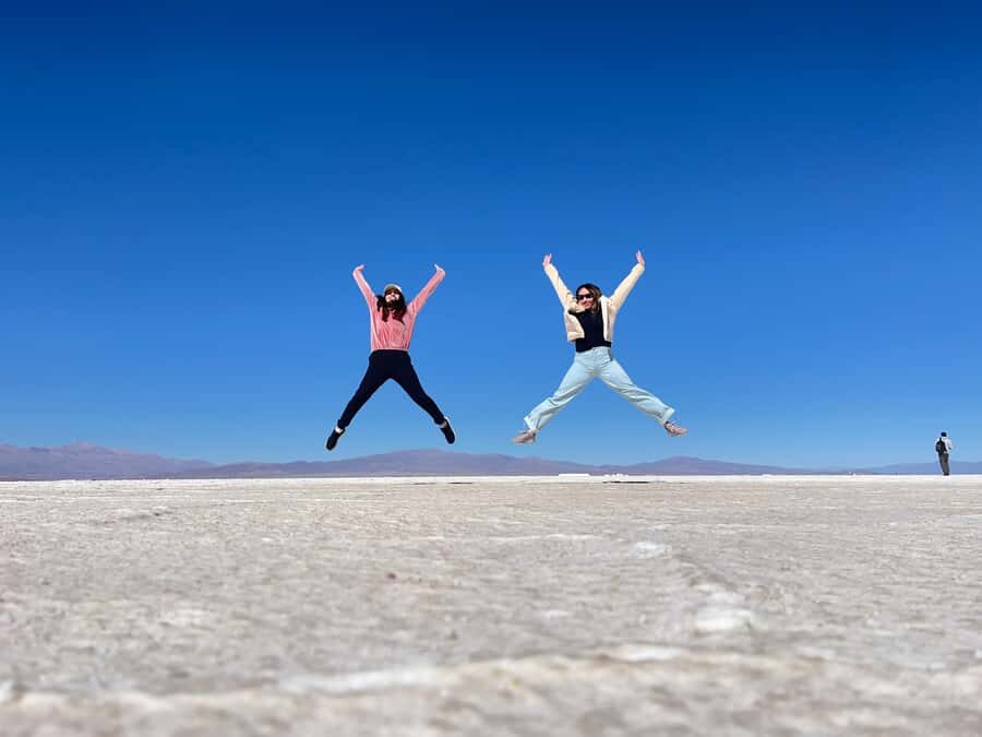 From Salta: Great Salt Flats Day Tour - Price and value: is $436 per person worth it?