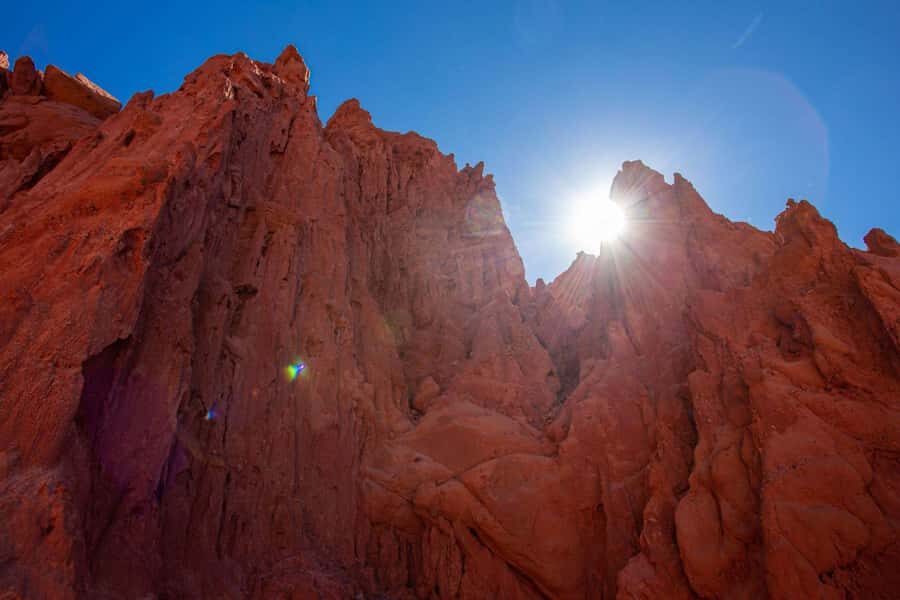 From Salta: The Calchaqui Valley Winery Tour in Cafayate - Key Things You’ll Notice on This Calchaquí Valley Tour