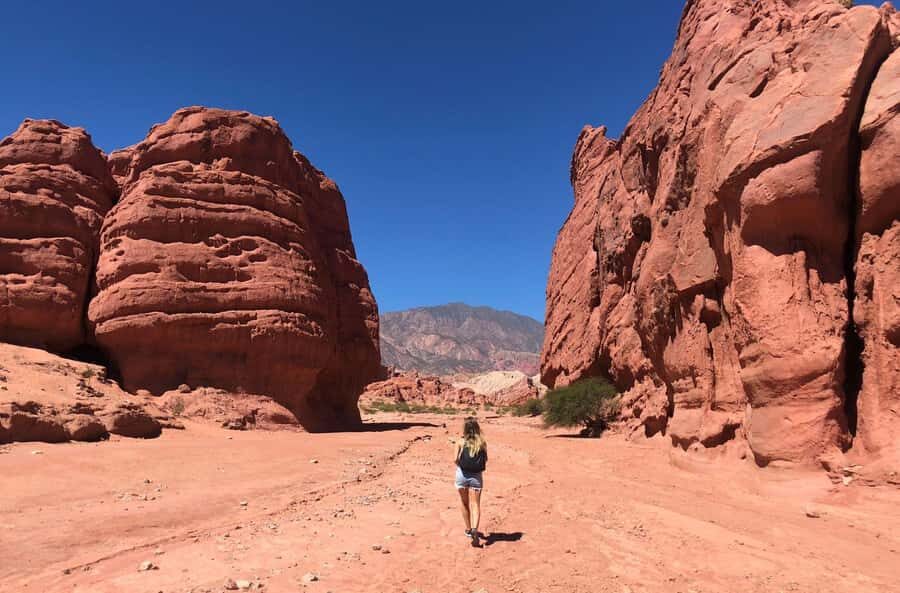 From Salta: The Calchaqui Valley Winery Tour in Cafayate - From Salta to Cafayate: The 12-Hour Run That Sets Up the Day