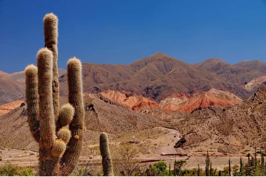 From Salta: The Calchaqui Valley Winery Tour in Cafayate - Photo Stops and Short Walks: How to Make the Timing Work for You