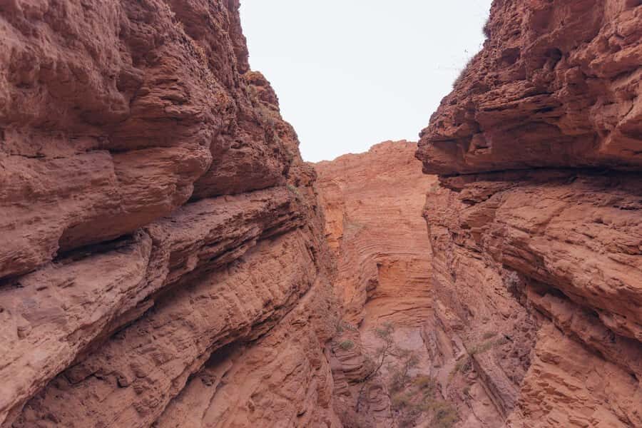 From Salta: The Calchaqui Valley Winery Tour in Cafayate - Winery Visit and Tastings: Torrontés, Malbec, and More