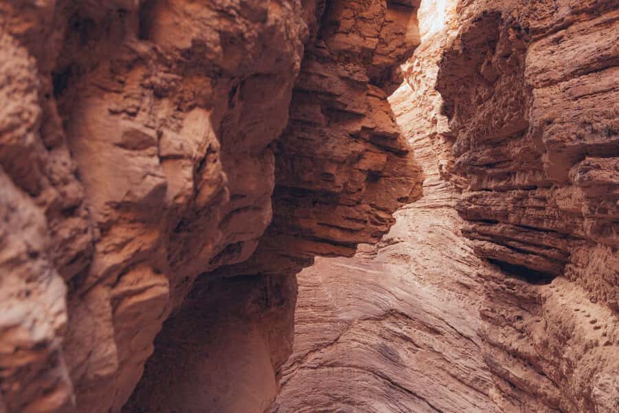 From Salta: The Calchaqui Valley Winery Tour in Cafayate - Lunch in Cafayate: Not Included, So Choose Smart
