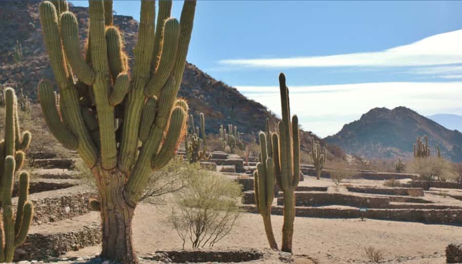 From Tucumán: Tafí del Valle, Quilmes Ruins and Cafayate - Price And Timing: Is $170 Worth It?