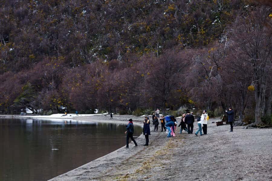 From Ushuaia: Discover Tierra del Fuego National Park - Key highlights at a glance