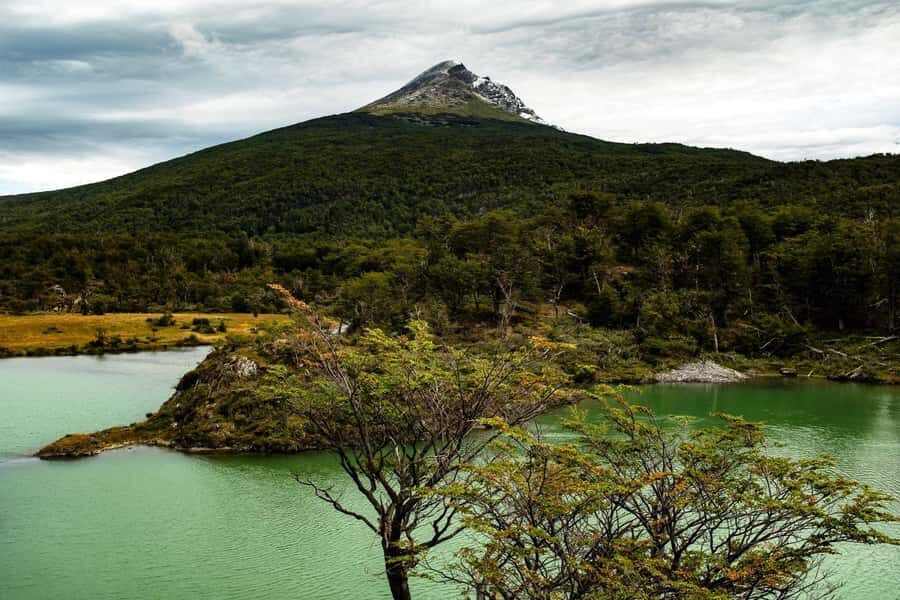 From Ushuaia: Discover Tierra del Fuego National Park - Who this tour fits best (and who should choose another option)