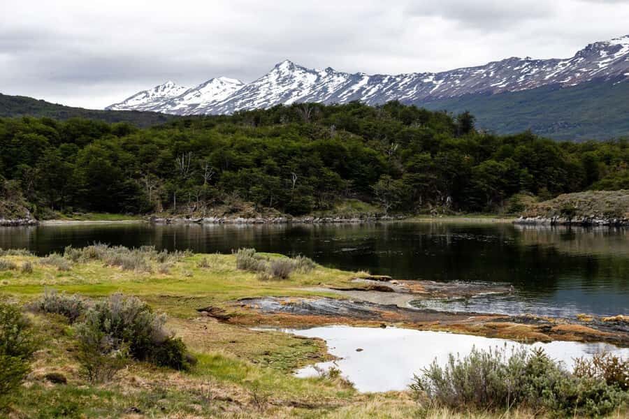 From Ushuaia: Discover Tierra del Fuego National Park - What the “short hike” usually means for your day