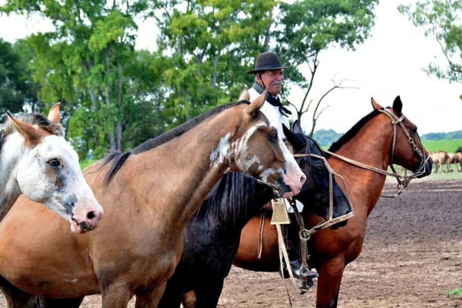 Full-Day at Santa Susana Ranch with BBQ, Drinks and Show - The lunch show: tango, folklore dancing, and boleadoras