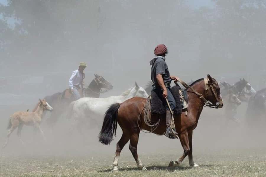 Full-Day at Santa Susana Ranch with BBQ, Drinks and Show - Price and value: what $595 covers (and what you’re paying for)