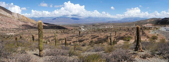 Full-day Cachi and Los Cardones National Park from Salta - Key highlights you’ll care about