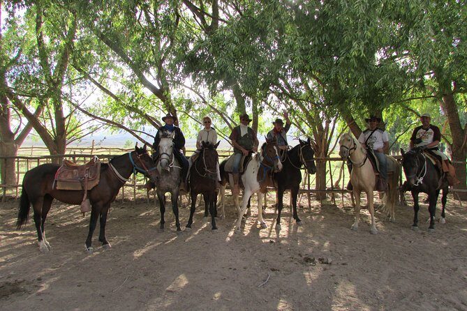 Full day ride at the foot of The Andes - Horse matching for beginners and experienced riders