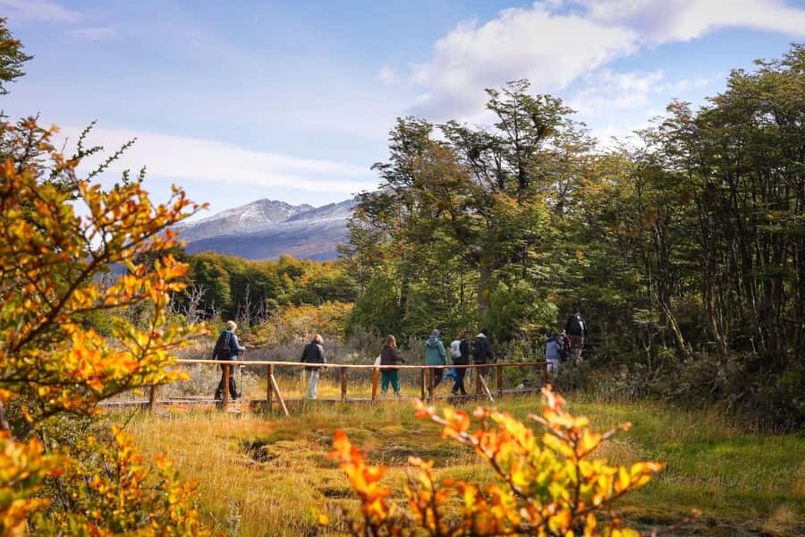 Full Day Trip to Tierra del Fuego National Park - Key Things I’d Focus On
