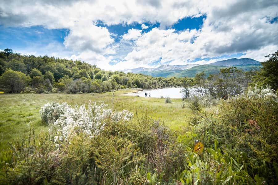 Full Day Trip to Tierra del Fuego National Park - Why This 6-Hour Tierra del Fuego Trip Feels Like Two Worlds