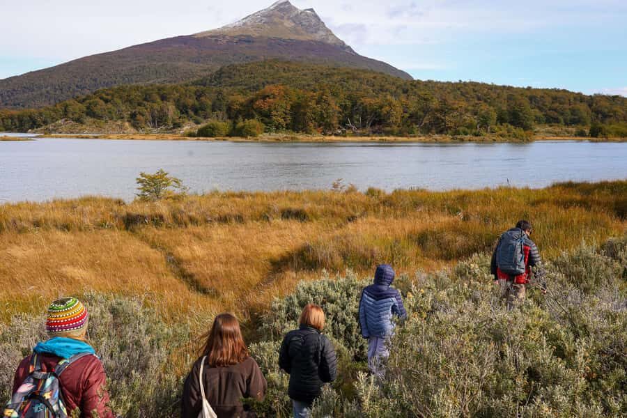 Full Day Trip to Tierra del Fuego National Park - Pampa Alta and Ensenada Zaratiegui: Lengas, Cherry Trees, and Photo Stops