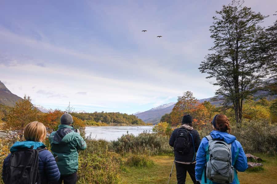 Full Day Trip to Tierra del Fuego National Park - Price and Logistics: What $150 Buys (and What It Doesn’t)