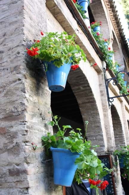 Guided tour in Spanish to the courtyards of Córdoba - Price and What You Get for $21