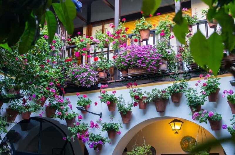 Guided tour in Spanish to the courtyards of Córdoba - What the Spanish-Guided Walk Feels Like Inside the Courtyards