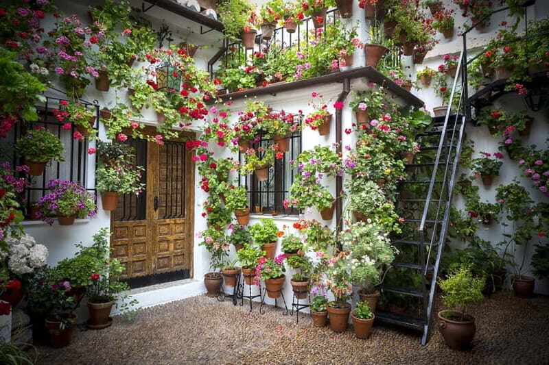 Guided tour in Spanish to the courtyards of Córdoba - Finding the Start at the Alcázar: Green Umbrella, No Guesswork