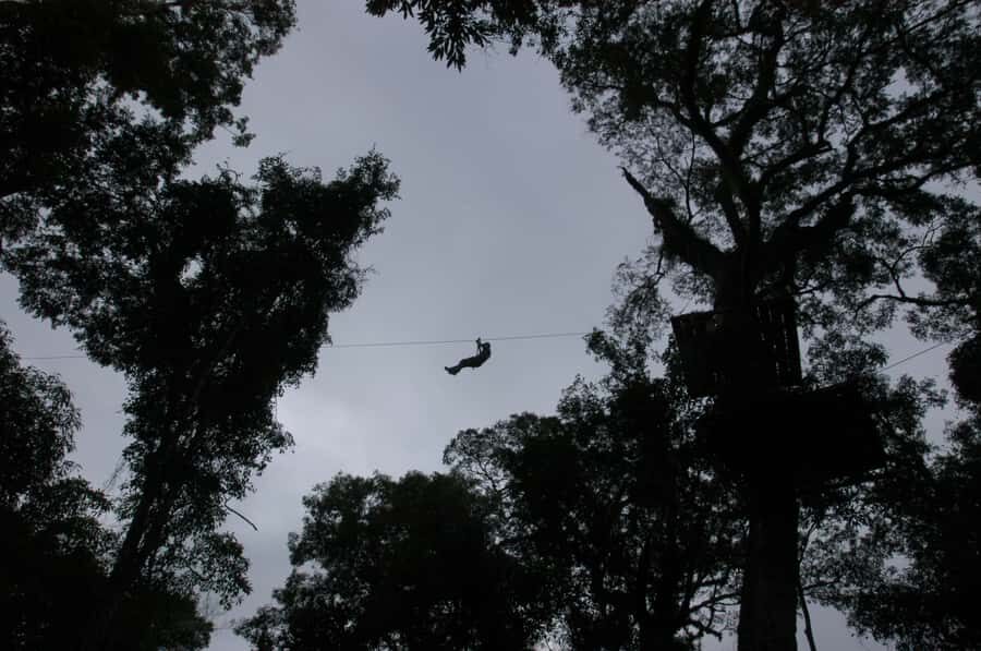 Half-Day Iguazú Forest Adventure - Canyon rappelling: the moment you’ll remember in Iguazú